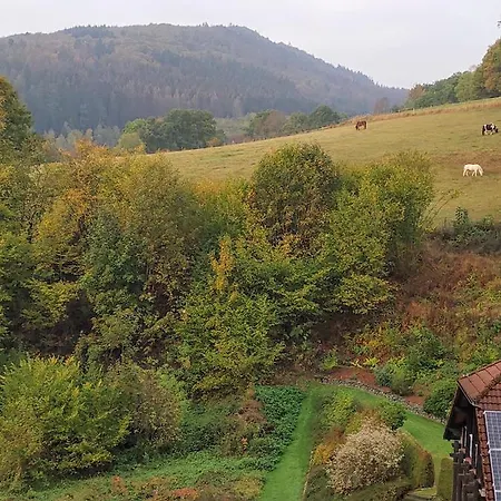 Fewo-bontkirchen Apartmán *