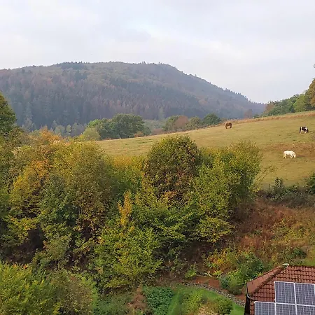 Fewo-bontkirchen Apartmán Brilon